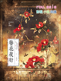 簪花夜行讲的啥